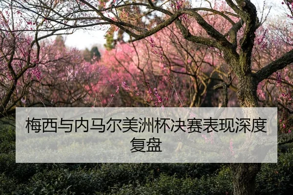 梅西与内马尔美洲杯决赛表现深度复盘