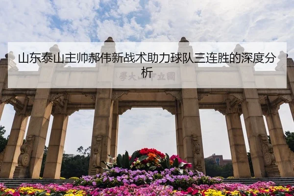 山东泰山主帅郝伟新战术助力球队三连胜的深度分析